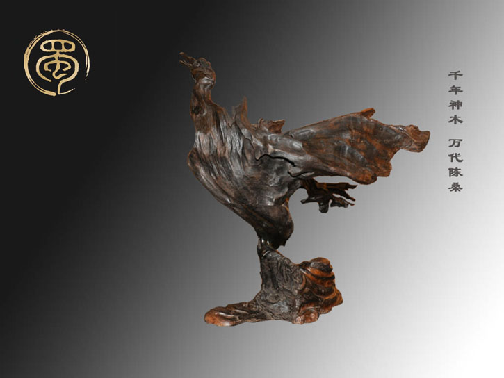 【天鹅】乌木金丝楠