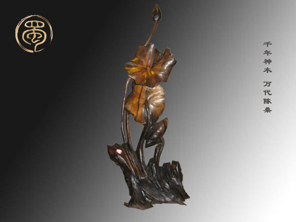 【荷花】乌木金丝楠