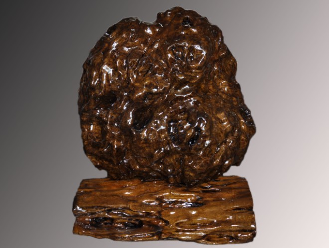 乌木金丝楠树瘤摆件